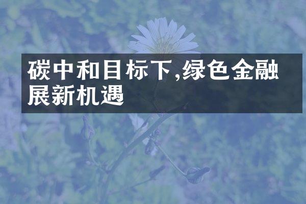 碳中和目标下,绿色金融发展新机遇