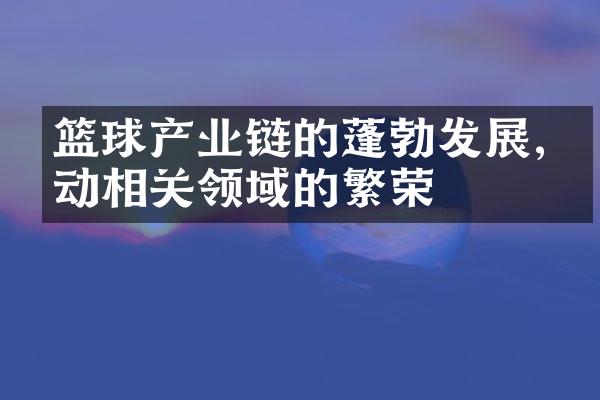 篮球产业链的蓬勃发展,带动相关领域的繁荣