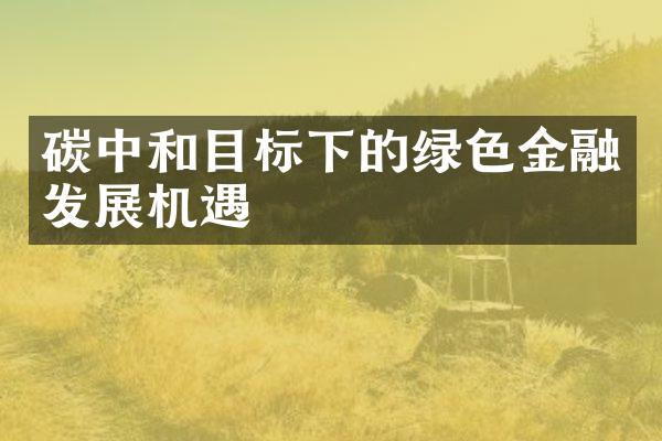 碳中和目标下的绿色金融发展机遇