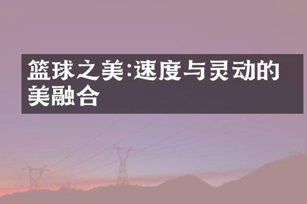 篮球之美:速度与灵动的完美融合