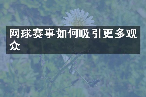 网球赛事如何吸引更多观众