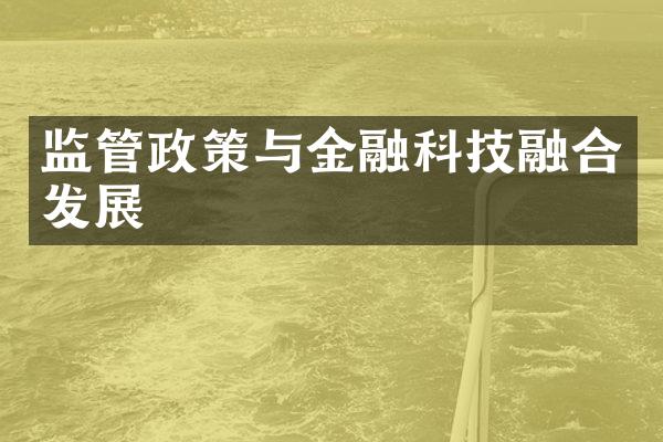 监管政策与金融科技融合发展