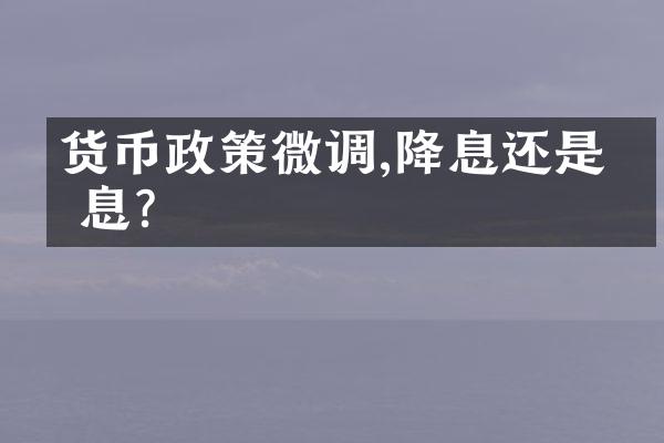 货币政策微调,降息还是加息?