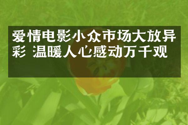 爱情电影小众市场大放异彩 温暖人心感动万千观众