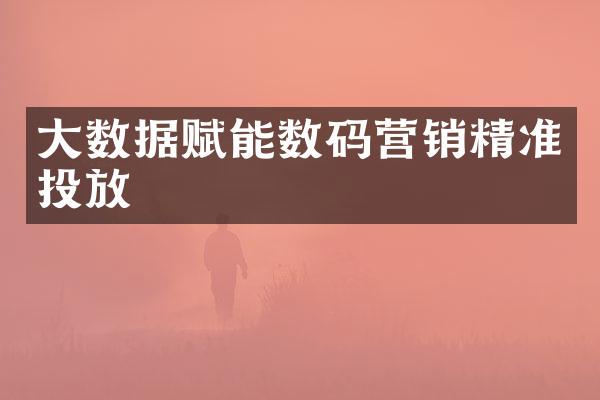 大数据赋能数码营销精准投放