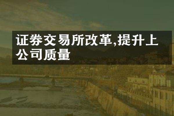 证券交易所改革,提升上市公司质量