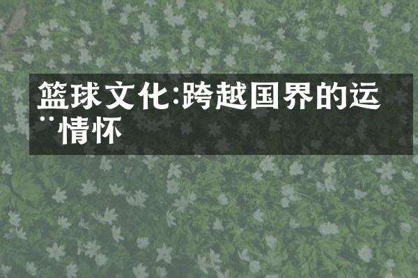 篮球文化:跨越国界的运动情怀