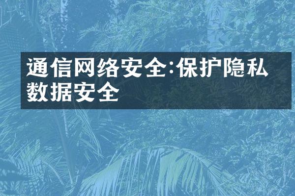 通信网络安全:保护隐私与数据安全