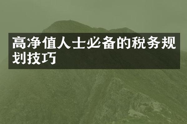 高净值人士必备的税务规划技巧