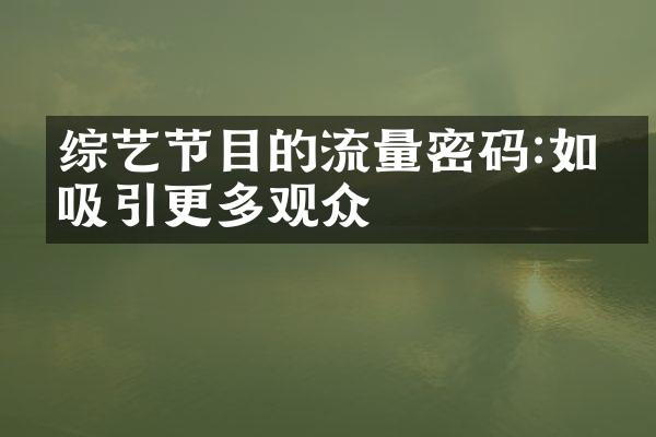 综艺节目的流量密码:如何吸引更多观众