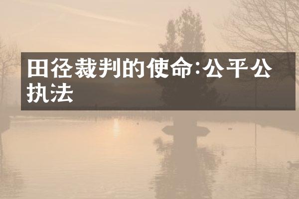 田径裁判的使命:公平公正执法