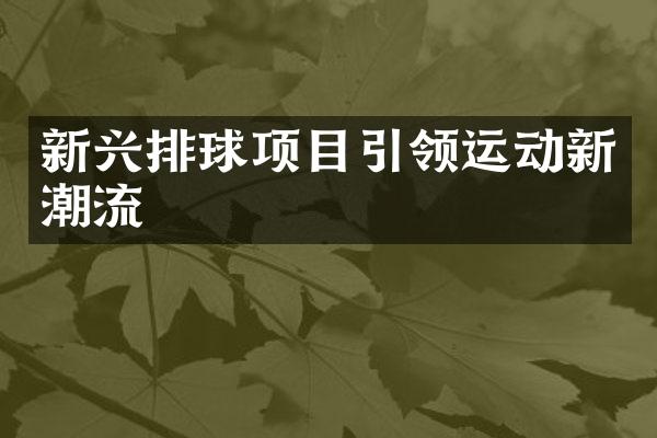 新兴排球项目引领运动新潮流