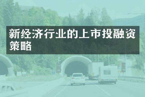 新经济行业的上市投融资策略