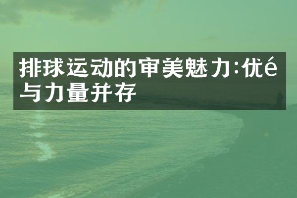 排球运动的审美魅力:优雅与力量并存