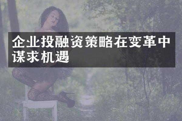 企业投融资策略在变革中谋求机遇