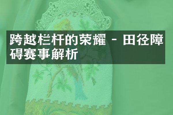 跨越栏杆的荣耀 - 田径障碍赛事解析