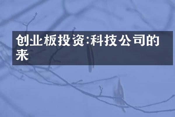 创业板投资:科技公司的未来