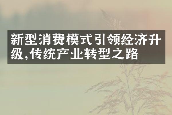 新型消费模式引领经济升级,传统产业转型之路