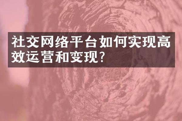 社交网络平台如何实现高效运营和变现?