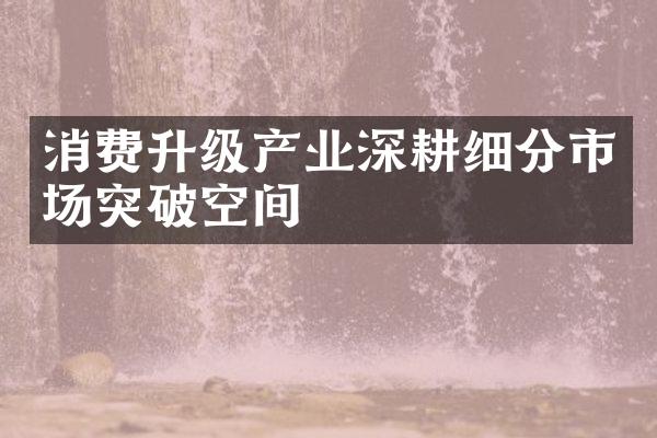 消费升级产业深耕细分市场突破空间