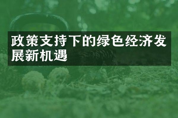 政策支持下的绿色经济发展新机遇