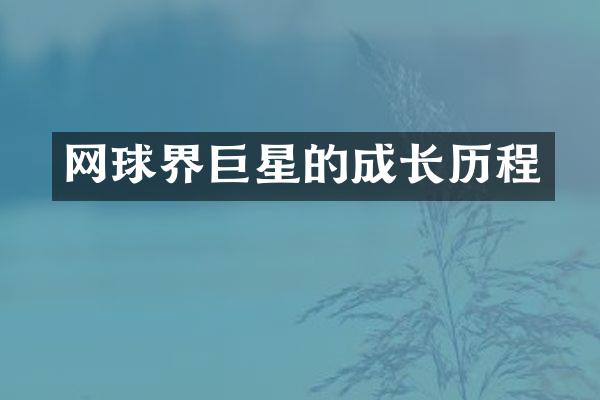 网球界巨星的成长