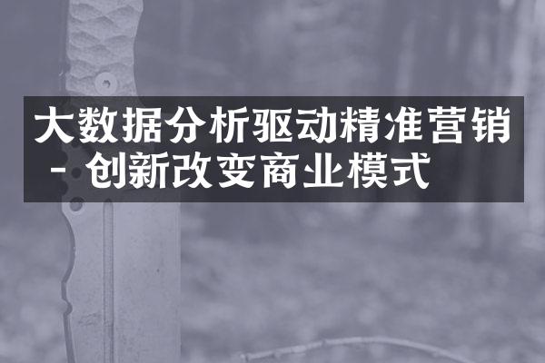 数据分析驱动精准营销 - 创新改变商业模式