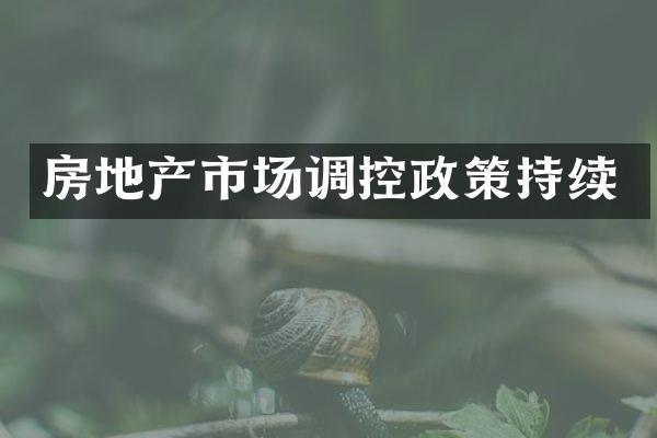 房地产市场调控政策持续