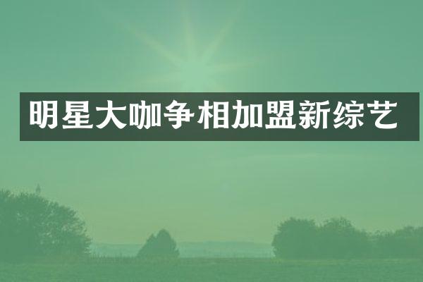 明星咖争相加盟新综艺