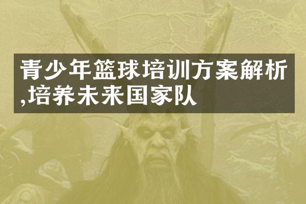 青少年篮球培训方案解析,培养未来国家队