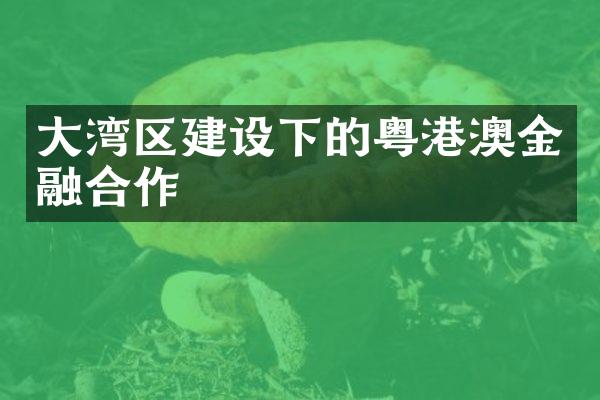 大湾区建设下的粤港澳金融合作