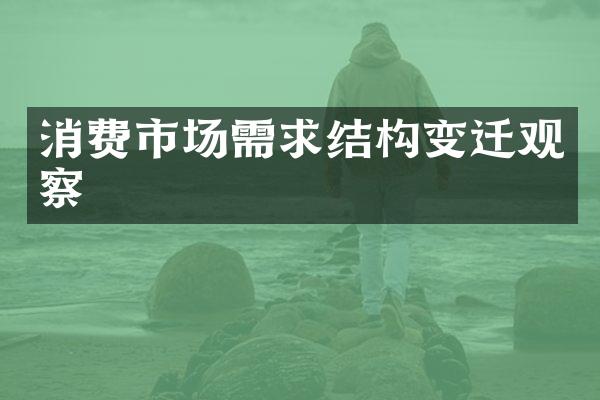 消费市场需求结构变迁观察