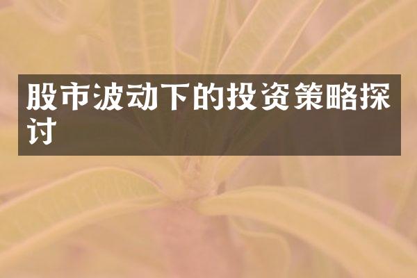 股市波动下的投资策略探讨