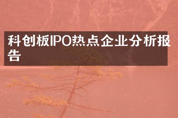 科创板IPO热点企业分析报告