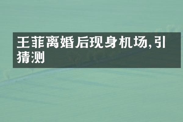 王菲离婚后现身机场,引发猜测