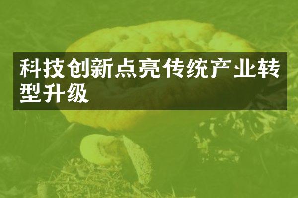 科技创新点亮传统产业转型升级