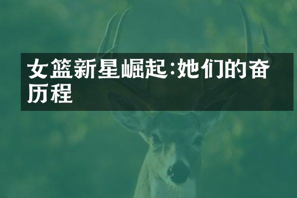 女篮新星崛起:她们的奋斗历程