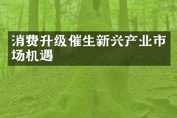 消费升级催生新兴产业市场机遇