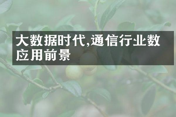 大数据时代,通信行业数据应用前景