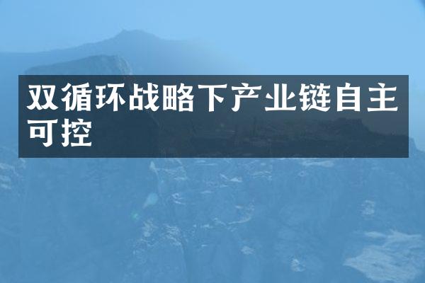 双循环战略下产业链自主可控