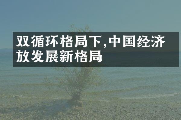 双循环格局下,中国经济开放发展新格局