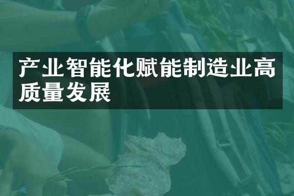 产业智能化赋能制造业高质量发展