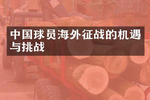 中国球员海外征战的机遇与挑战