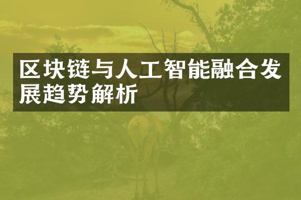 区块链与人工智能融合发展趋势解析