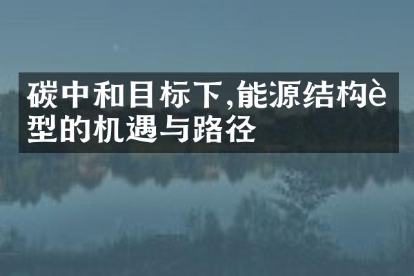 碳中和目标下,能源结构转型的机遇与路径