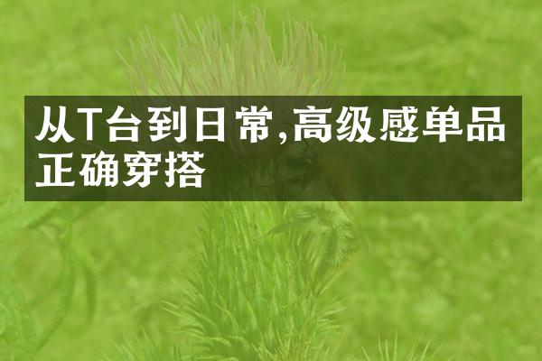 从T台到日常,高级感单品的正确穿搭