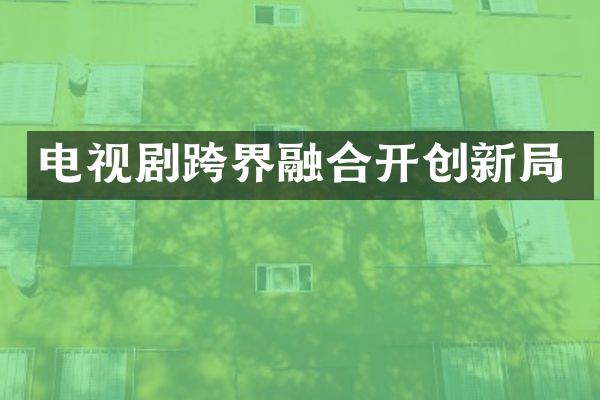 电视剧跨界融合开创新局