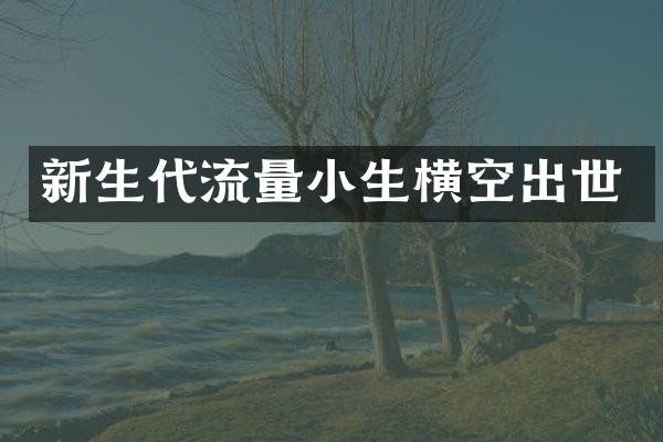 新生代流量小生横空出世