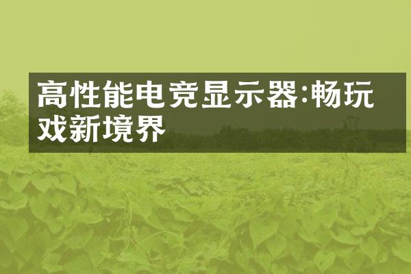 高性能电竞显示器:畅玩游戏新境界