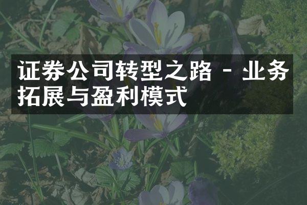 证券公司转型之路 - 业务拓展与盈利模式